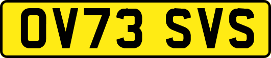 OV73SVS