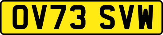 OV73SVW
