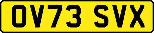 OV73SVX