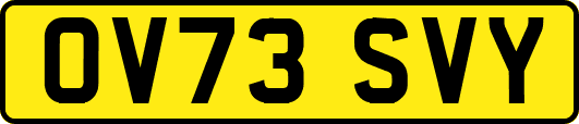 OV73SVY