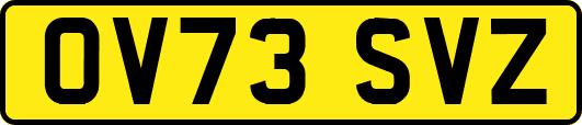 OV73SVZ