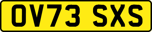 OV73SXS