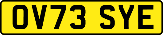 OV73SYE
