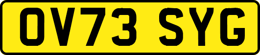 OV73SYG