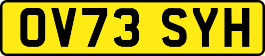 OV73SYH