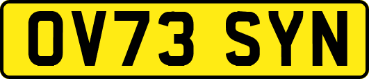 OV73SYN