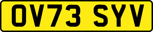 OV73SYV