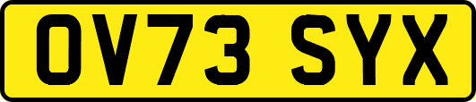 OV73SYX