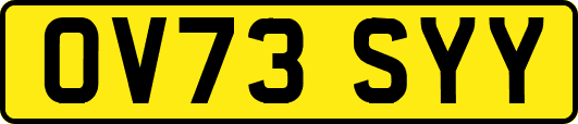 OV73SYY
