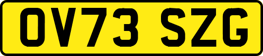 OV73SZG