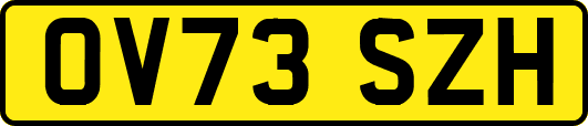 OV73SZH