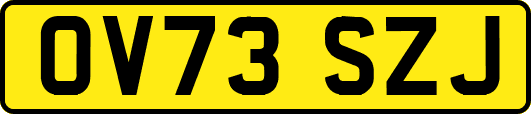 OV73SZJ