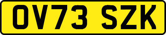 OV73SZK