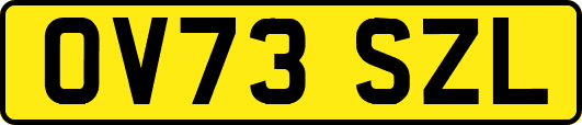 OV73SZL