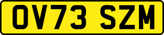 OV73SZM
