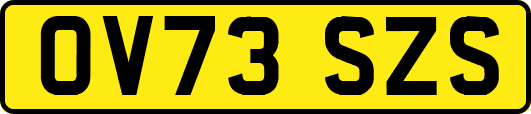 OV73SZS
