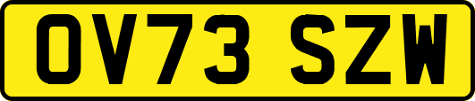 OV73SZW