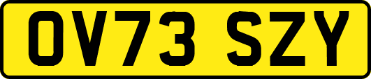 OV73SZY