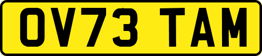 OV73TAM