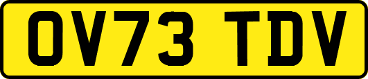 OV73TDV