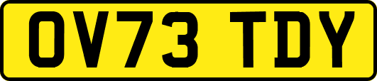 OV73TDY