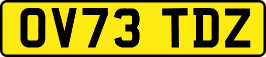 OV73TDZ