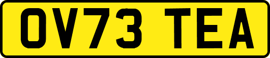 OV73TEA