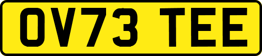 OV73TEE