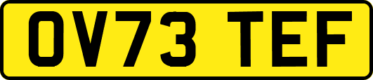 OV73TEF