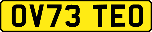 OV73TEO