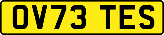 OV73TES