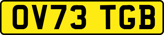 OV73TGB