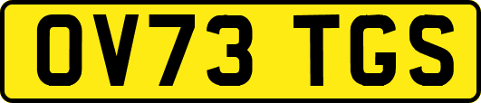 OV73TGS