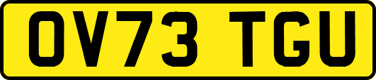OV73TGU