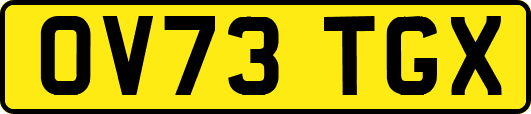 OV73TGX