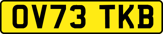 OV73TKB