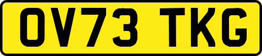 OV73TKG