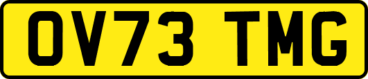 OV73TMG
