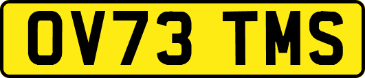OV73TMS