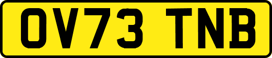 OV73TNB