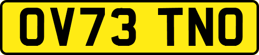 OV73TNO