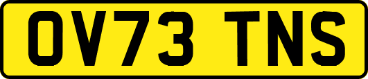 OV73TNS
