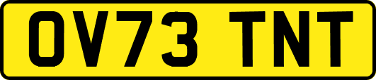 OV73TNT