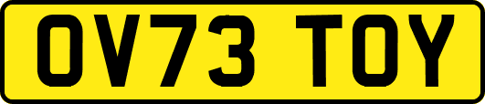 OV73TOY