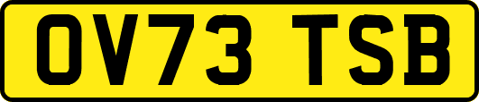 OV73TSB
