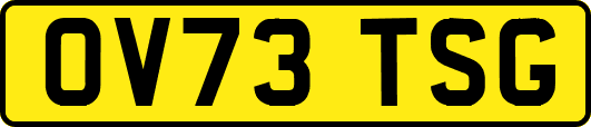OV73TSG