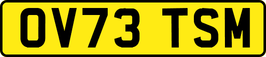 OV73TSM