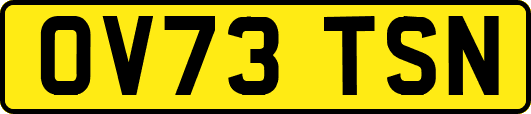 OV73TSN