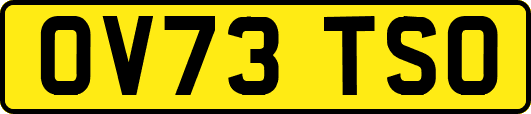 OV73TSO