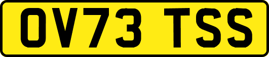 OV73TSS